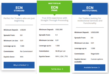 blackbull markets account types