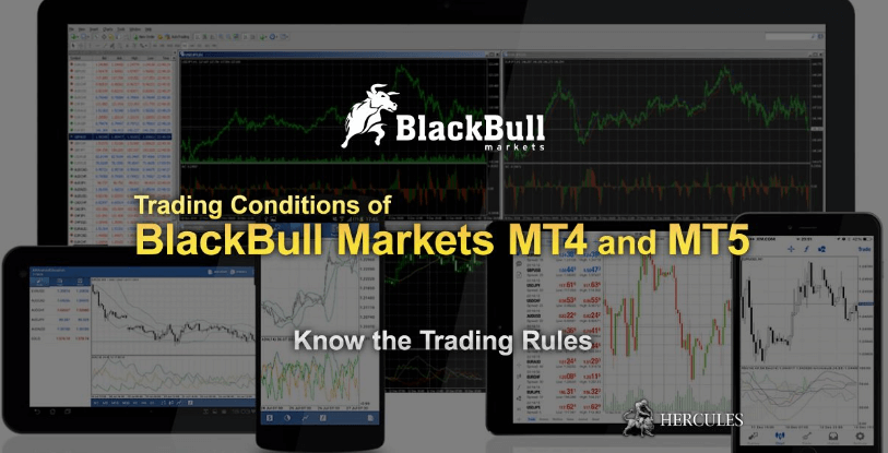blackbull markets trading platforms