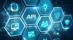 Api