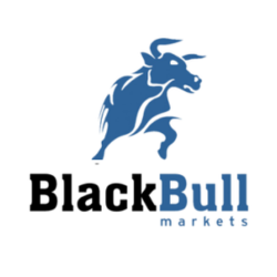 BlackBull Markets LOGO