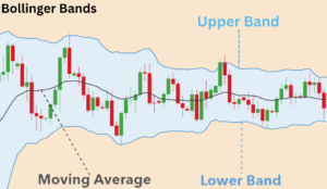 Bollinger Band (1)