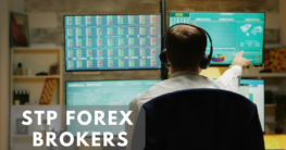 STP Forex Brokers